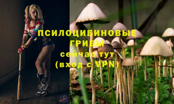 ECSTASY Армянск
