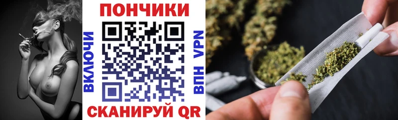 Шишки марихуана Amnesia  даркнет как зайти  Пыталово 